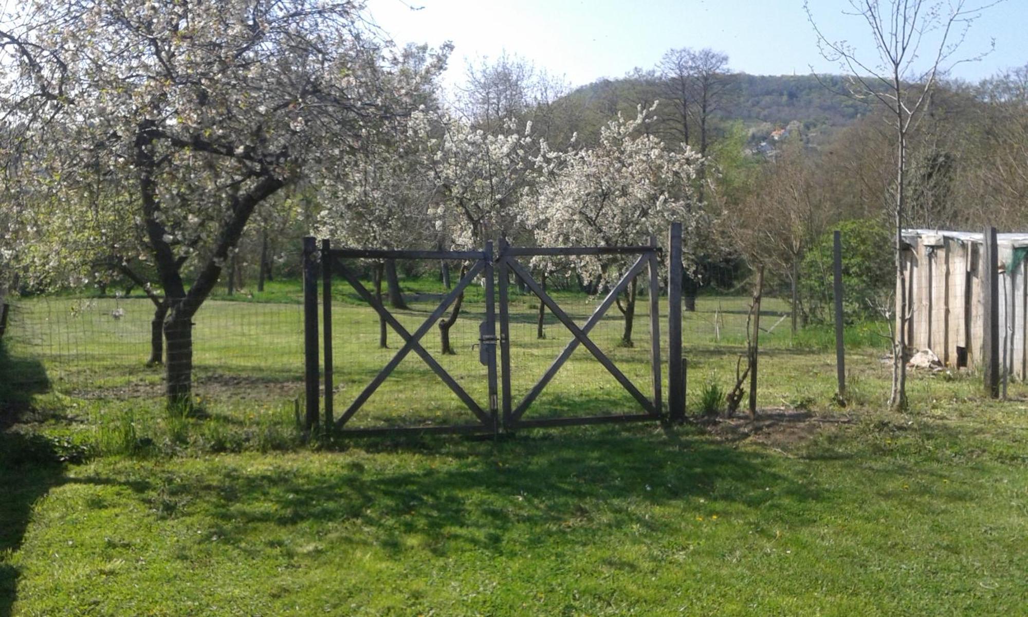 Bochmann Cottage Zalaszanto Kültér fotó