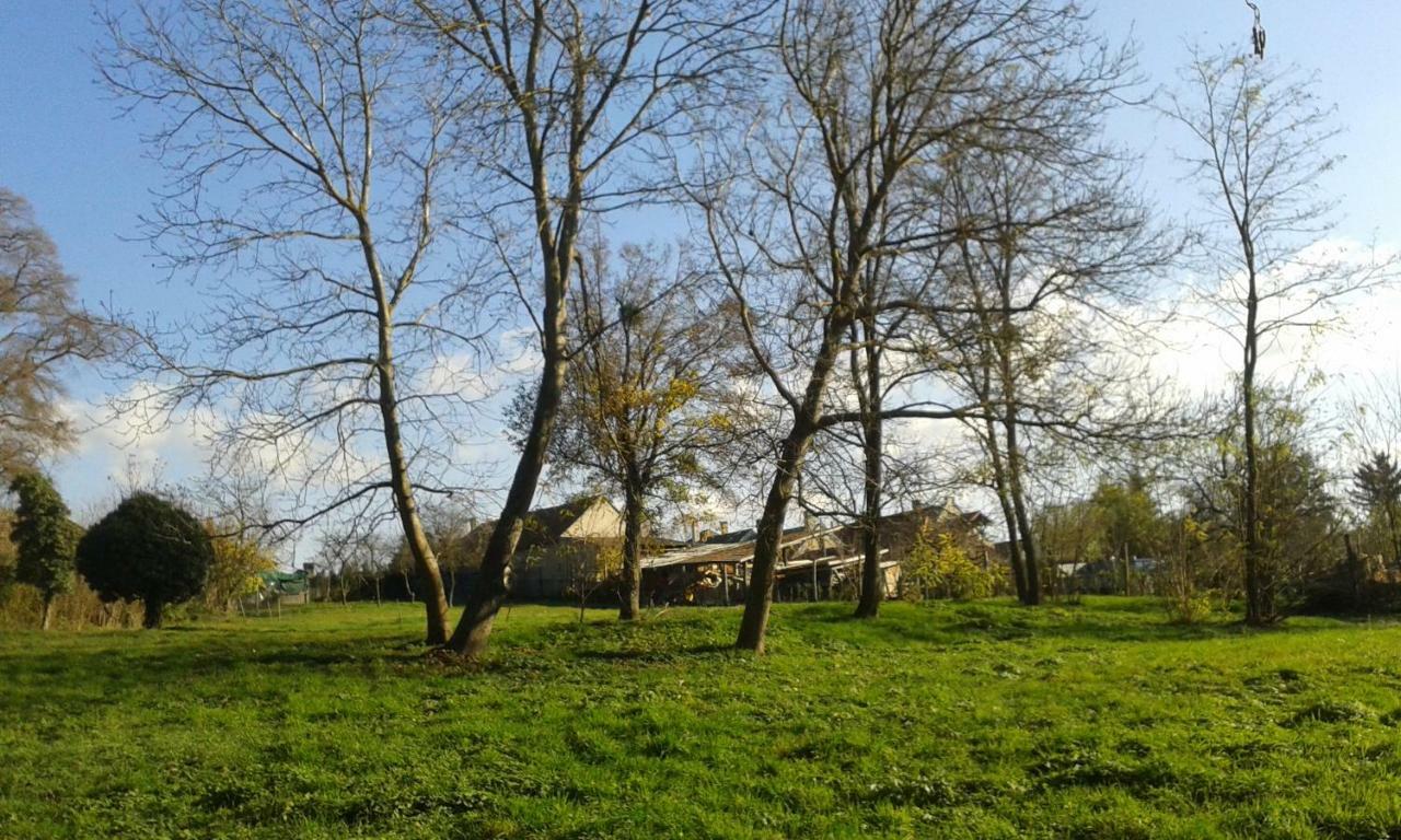 Bochmann Cottage Zalaszanto Kültér fotó